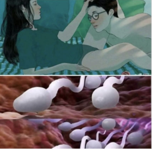 Studies reveal that swallowing your partner’s semen…🛑 Studies reveal that swallowing your partner’s semen